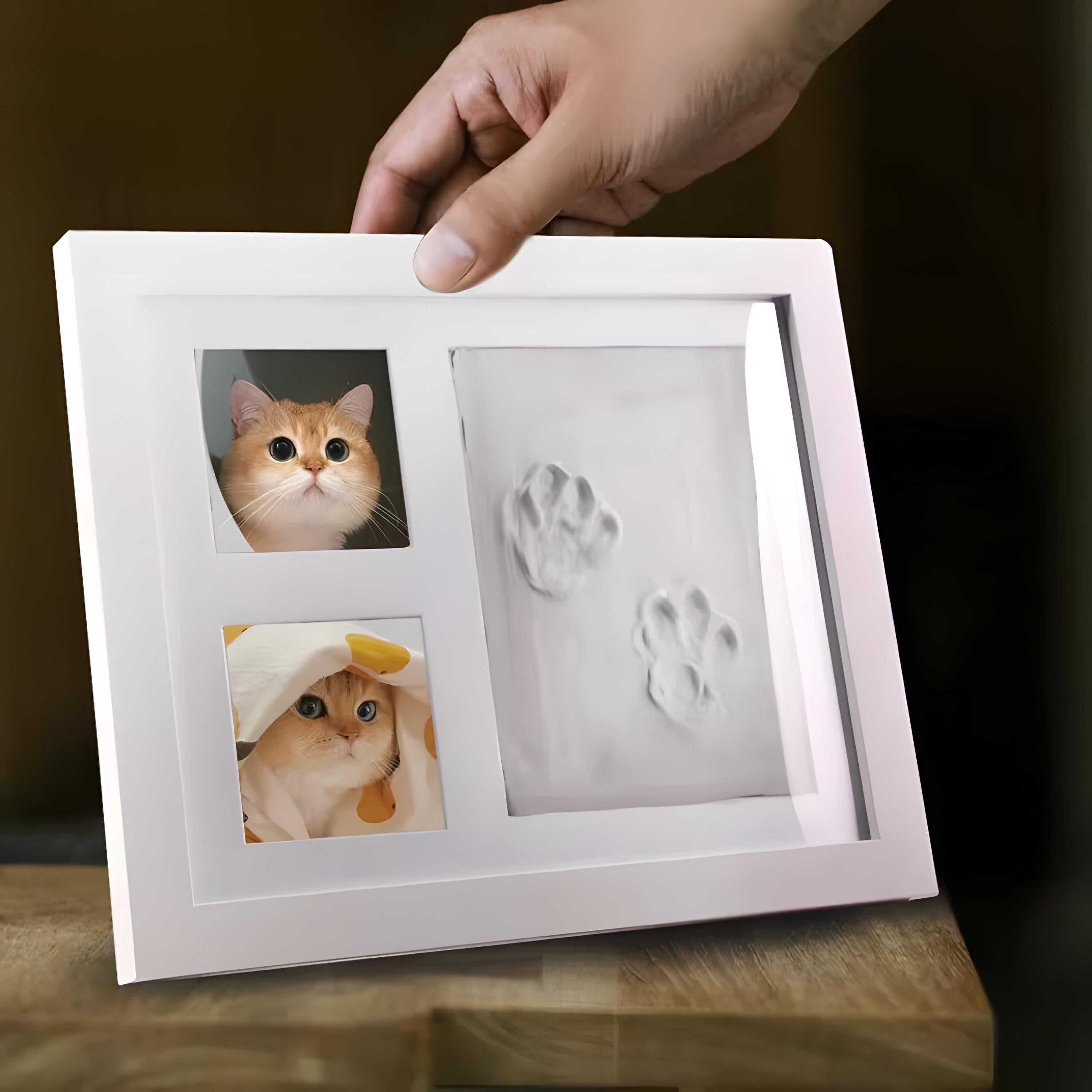 Pet Paw Print Kit  with Clay