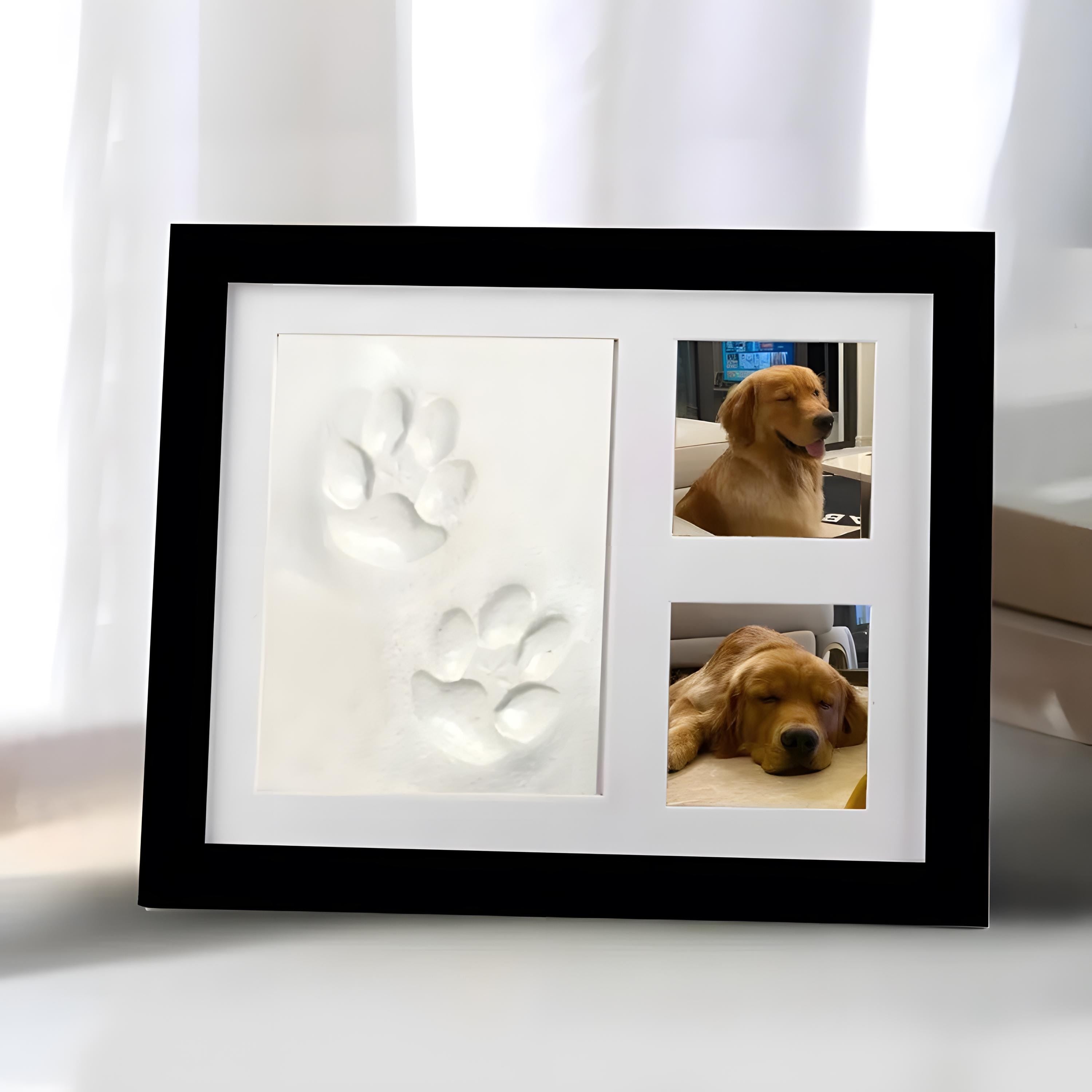 Pet Paw Print Kit  | Regular or Deluxe kit